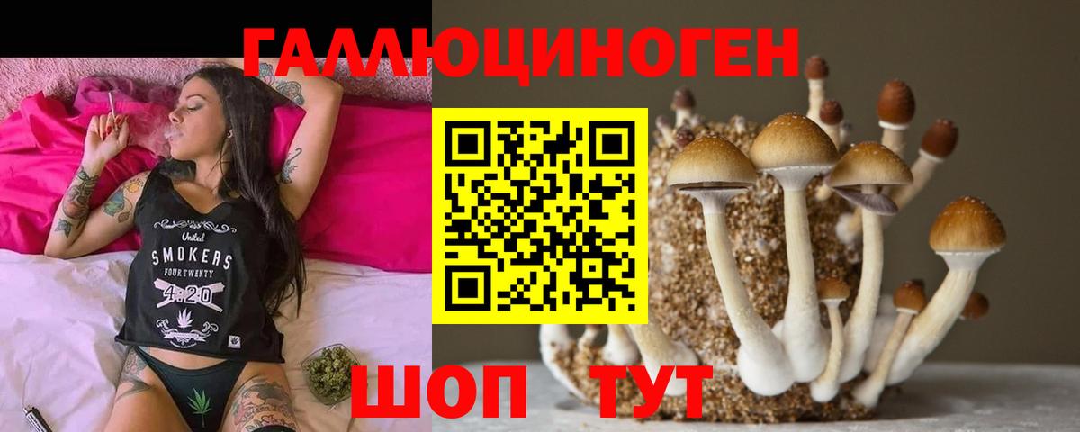 Галлюциногенные грибы Cubensis Нарткала