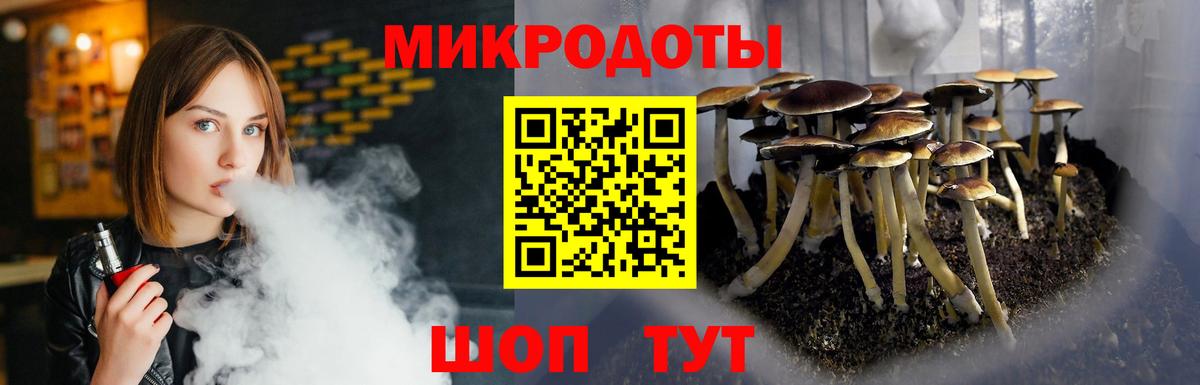 Нарткала  Псилоцибиновые грибы Cubensis  Вход с VPN 